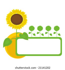 Sunflowers frame design. Vector illustration.
