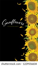 Sunflowers frame with leaf on black background. Vector set of blooming floral for holiday invitations, greeting card and fashion design.