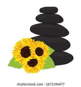 sunflowers in front of zen pebbles, vector