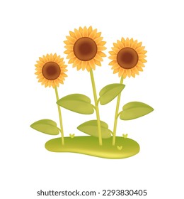 Sunflowers in garden 3d vector illustration. Outdoor garden plants on green grass in cartoon style isolated on white background. Nature, plant, gardening concept