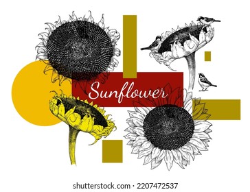  Sunflowers and geometric shapes. Collage. Vector illustration. Sketches of various flowers and house sparrows .
