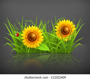 Sunflowers in grass, vector