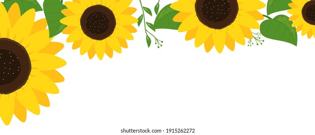 Sunflowers with green leaves on white background vector illustration.