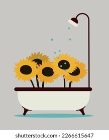 Sunflowers Grow up in the Bathroom and Shower