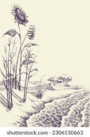 Sunflowers growing on the beach vector hand drawing