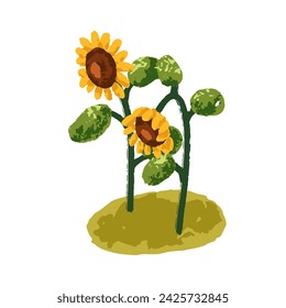 Sunflowers growing. Sun flowers on stems, stalks. Farm field plant, agriculture floral crop with yellow petals, leaf. Natural seed vegetable. Flat vector illustration isolated on white background