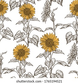 Sunflowers hand drawn background. Graphic seamless pattern on white. Vector drawing of agriculture. Healthy food backdrop.