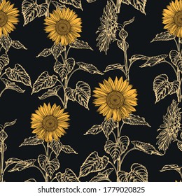 Sunflowers hand drawn background. Graphic seamless pattern on black. Vector drawing of agriculture. Healthy food backdrop. Template for invitation, greeting card, banner, textile and paper design.