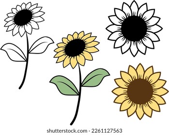 Los girasoles dibujados a mano en un fondo blanco. Estilo minimalista de ilustración de vector