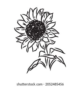 Sunflowers Hand drawn sketches of sunflowers. sunflower vector
