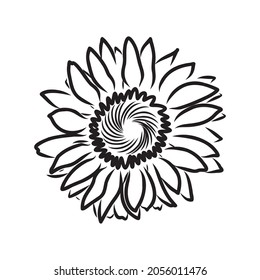 Sunflowers Hand drawn sketches of sunflowers. sunflower vector