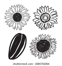 Sunflowers Hand drawn sketches of sunflowers. sunflower vector