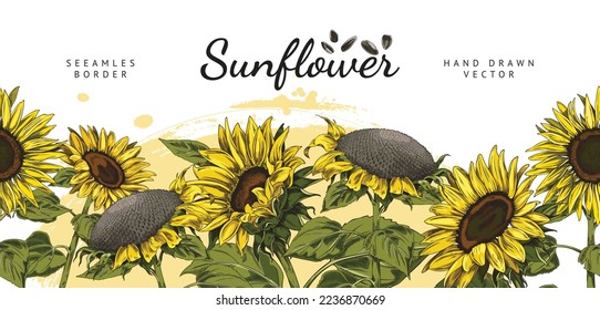 Sunflowers hand drawn vintage style seamless border design, sketch or engraving vector illustration isolated on white background. Sunflower plant repeatable motive.