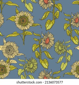 Sunflowers hand-drawn on blue background. Naturalistic yellow-orange flowers in a floral seamless pattern. Summer print for design.
