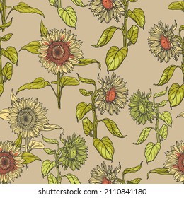 Los girasoles dibujados a mano en un fondo neutro. Flores naturalistas amarillo-naranja en un patrón impecable. Impreso de verano para el diseño.