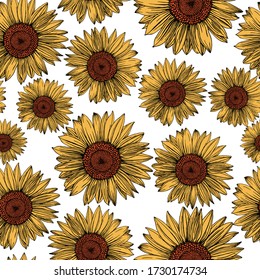 Los girasoles dibujados a mano en un fondo blanco. Flores naturalistas amarillo-naranja en un patrón impecable. Impreso de verano para el diseño.
