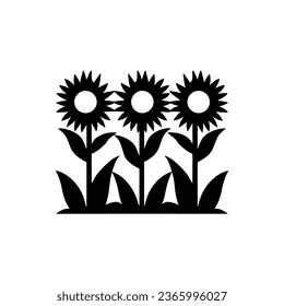 Icono de girasoles aislado en fondo blanco