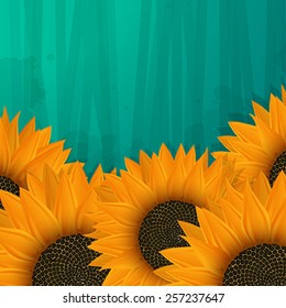 Sunflowers icon, vector art