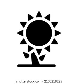 Sunflowers Icon Vector Symbol Design Illustration