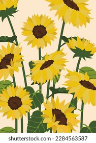 sunflowers illustration background.Eps 10 vector.