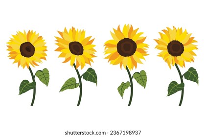 fondo de ilustración de girasoles.vector Eps 10.