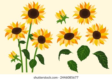 sunflowers illustration background.Eps 10 vector.