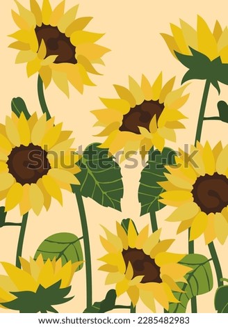 sunflowers illustration background.Eps 10 vector.