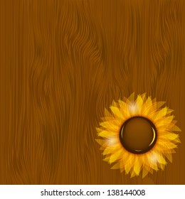 Sunflowers illustration background illustration