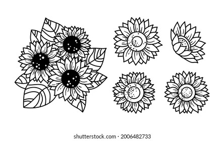 Sunflowers isolated clipart, Black and white floral decorative elements, line wildflower and leaves, botanical design items, bouquete with sunflowers - vector illustration bundle