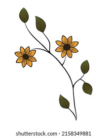Sunflowers isolated. Vector illustration isolated on white background. Summer drawing flowers