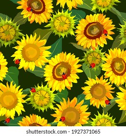 Sunflowers and ladybugs vector seamless pattern. Summer background.