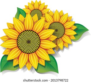 girasoles con hojas sobre fondo blanco