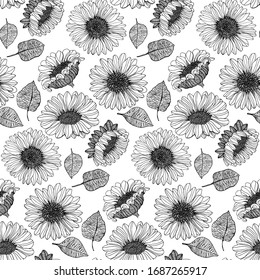 Sunflowers leaves seeds graphics vector patterns 