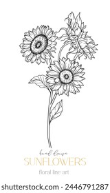 Girasoles Línea de Arte, Línea Fina Girasoles Dibujado A Mano Ilustración. Ilustración de girasoles de línea fina. Floral Line Art. Gráficos de girasoles en blanco y negro