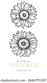 Girasoles Línea de Arte, Línea Fina Girasoles Dibujado A Mano Ilustración. Ilustración de girasoles de línea fina. Floral Line Art. Gráficos de girasoles en blanco y negro