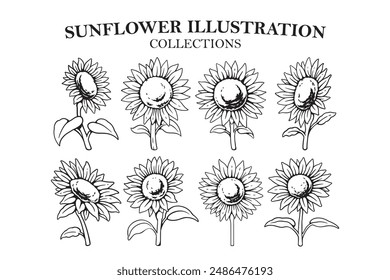 diseños de conjunto de ilustración de arte de línea de girasoles. dibujado a mano de los iconos de contorno de girasoles para boutique, floristería de negocios. floral girasol femenino elegantes Elementos para logotipo, arte de la pared, póster, estampados