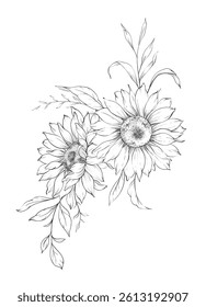 Sunflowers Line Drawing. Outline Sunflowers illustration. Hand Drawn Sunflowers background. Botanical Monochrome Floral Art. Sunflower Wedding