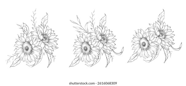 Sunflowers Line Drawing. Outline Sunflowers illustration. Hand Drawn Sunflowers background. Botanical Monochrome Floral Art. Sunflower Wedding