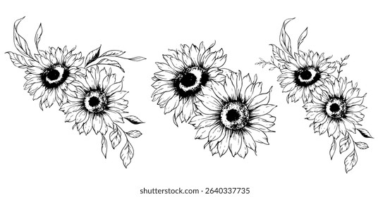 Sunflowers Line Drawing. Outline Sunflowers illustration. Hand Drawn Sunflowers Silhouette.  Monochrome Floral Line Art. Ink Sunflowers Drawing for packaging, labels. 
