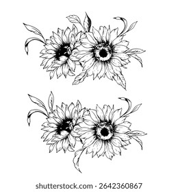 Sunflowers Line Drawing. Outline Sunflowers illustration. Hand Drawn Sunflowers Silhouette.  Monochrome Floral Line Art. Ink Sunflowers Drawing for packaging, labels. 