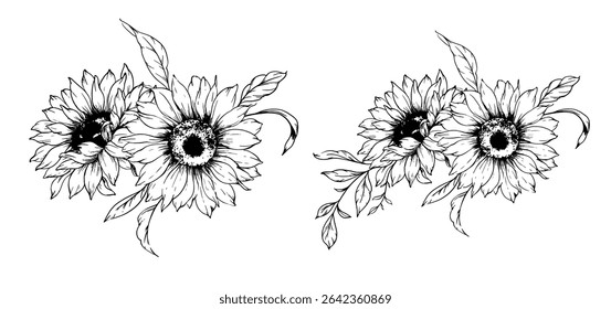 Sunflowers Line Drawing. Outline Sunflowers illustration. Hand Drawn Sunflowers Silhouette.  Monochrome Floral Line Art. Ink Sunflowers Drawing for packaging, labels. 