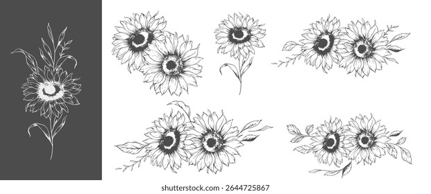 Sunflowers Line Drawing. Outline Sunflowers illustration. Hand Drawn Sunflowers Silhouette.  Monochrome Floral Line Art. Ink Sunflowers Drawing for packaging, labels. 