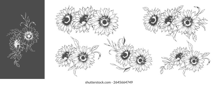 Sunflowers Line Drawing. Outline Sunflowers illustration. Hand Drawn Sunflowers Silhouette.  Monochrome Floral Line Art. Ink Sunflowers Drawing for packaging, labels. 