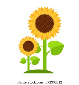 Sunflowers logo in cartoon style.
