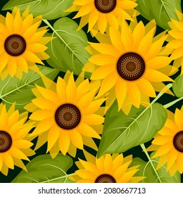 Sunflowers Multicolor Seamless Pattern Background