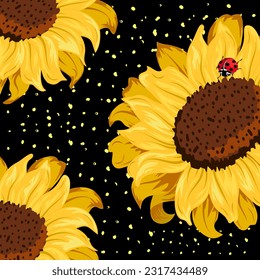Sunflowers on a black background.Vector illustration with sunflowers close-up on a black background.