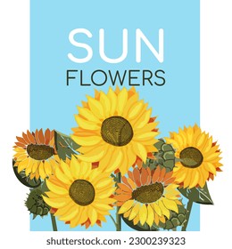 Sonnenblumen auf blauem Hintergrund mit Text. Feld der gelben Sommerblumen. Sonnenblumenkerne. Postkarte oder Poster zum Thema Botanik. Mit Farbe gezeichnet. Vektorgrafik