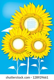 Sunflowers on blue background in vector format with space for your text