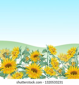 Sunflowers  on blue  scenery backdrop.Vector illustration.