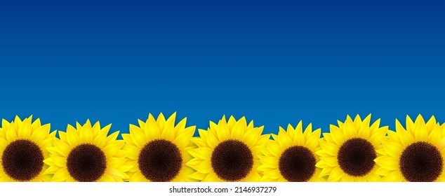 Sunflowers on blue sky in vector format